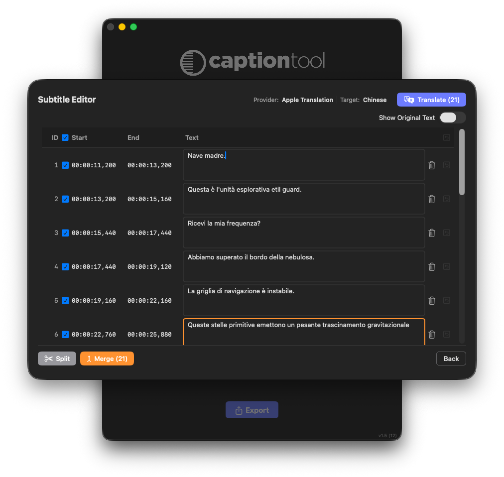 Caption Tool subtitle editing workspace